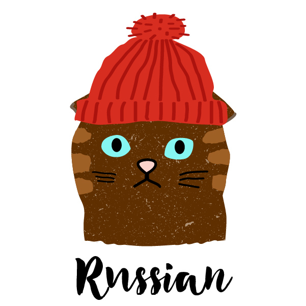 Russian Language Heroes